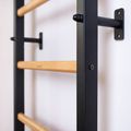 BenchK gymnastics ladder black BK-721B+A076 6