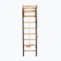 BenchK gymnastics ladder black BK-211B+A076 2