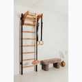 BenchK gymnastics ladder black BK-211B+A076 15