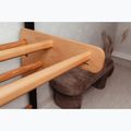 BenchK gymnastics ladder black BK-211B+A076 8