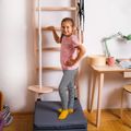 BenchK gymnastic ladder brown BK-111+A204 5