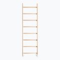 BenchK gymnastics ladder in natural wood BK-100 2