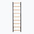 BenchK bronze gymnastics ladder BK-700B 2