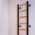 BenchK bronze gymnastics ladder BK-700B 3