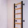 Gymnastic ladder BenchK black BK-700B 10