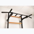 BenchK gymnastics ladder black BK-221B 9