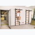 BenchK gymnastics ladder black BK-221B 18
