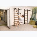 BenchK gymnastics ladder black BK-221B 19