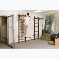 BenchK gymnastics ladder black BK-221B 15