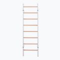 BenchK gymnastics ladder white BK-200W 2