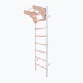 BenchK gymnastics ladder white BK-211W