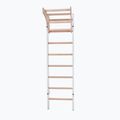 BenchK gymnastics ladder white BK-211W 2