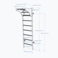 BenchK gymnastics ladder white BK-211W 7