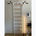 BenchK gymnastics ladder white BK-721W 14