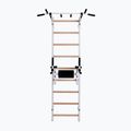 BenchK gymnastics ladder white BK-722W 2