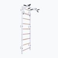 BenchK gymnastics ladder white BK-731W