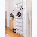 BenchK gymnastics ladder white BK-731W 13