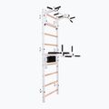 BenchK gymnastics ladder white BK-732W
