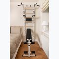 BenchK gymnastics ladder white BK-233W 12