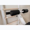 BenchK gymnastics ladder white BK-233W 18