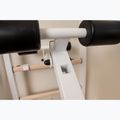 BenchK gymnastics ladder white BK-233W 19