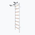 BenchK gymnastics ladder white BK-221W
