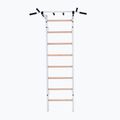 BenchK gymnastics ladder white BK-221W 2