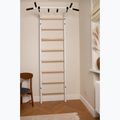 BenchK gymnastics ladder white BK-221W 12