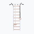 BenchK gymnastics ladder white BK-721W+A204 2