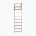 BenchK gymnastics ladder white BK-711W 2