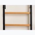 BenchK gymnastics ladder black BK-212B+A076 4