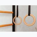 BenchK gymnastics ladder black BK-212B+A076 6