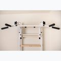 BenchK gymnastics ladder white BK-232W 6