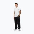 Men's Pitbull No Logo t-shirt white 2