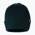 Men's winter beanie Pitbull West Coast Beanie Small Logo dark green 2