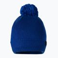 Men's winter beanie Pitbull West Coast Beanie Bubble Small Logo royal blue 2