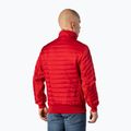 Pitbull West Coast men's jacket Shadow red 3