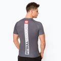Men's Rashguard Pitbull West Coast T-S Rash Hilltop grey/melange 3
