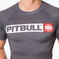 Men's Rashguard Pitbull West Coast T-S Rash Hilltop grey/melange 4