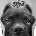 Ladies' T-shirt Pitbull West Coast Ir white 3