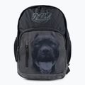 Men's backpack Pitbull West Coast Pitbull Ir black/grey