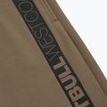 Men's shorts Pitbull West Coast Saturn coyote brown 8