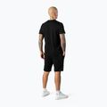 Pitbull West Coast Dolphin black men's shorts 2