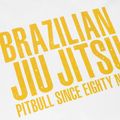 Men's T-shirt Pitbull West Coast BJJ Champions white 3