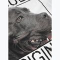 Pitbull West Coast Origin white men's t-shirt 7