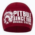 Men's Pitbull Beanie Blood Dog burgundy winter cap