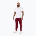 Pitbull West Coast men's Trackpants Tape Logo Terry Group burgundy 2