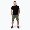 Pitbull West Coast Dolphin olive men's shorts 2