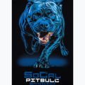 Pitbull West Coast men's t-shirt In Blue black 6