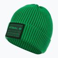 Men's winter beanie Pitbull Beanie Dock green